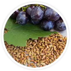 Extracto de semilla de uva