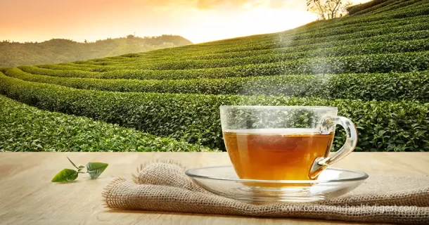شاي الأعشاب – يمكن أن يساعد في تخفيف أعراض انقطاع الطمث