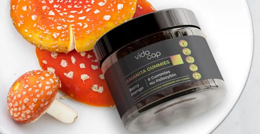The Best Amanita Gummies: A Delicious Journey to Mindful Relaxation