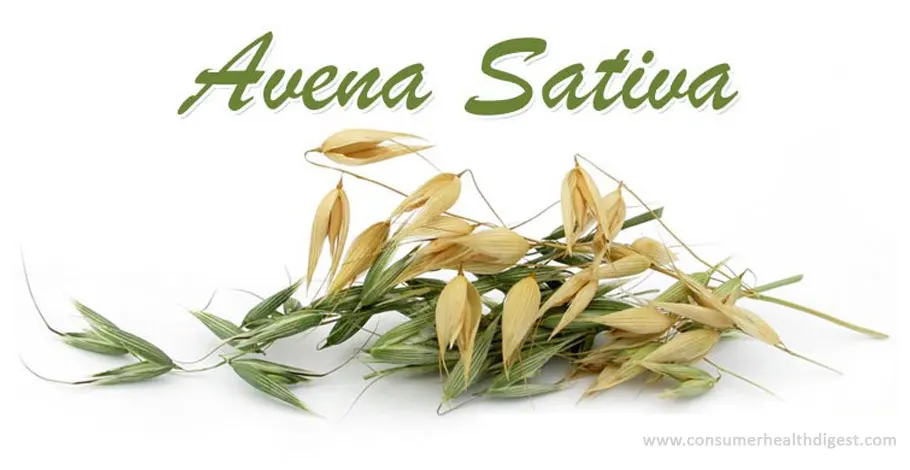 Avena Sativa: Nutzen für die Gesundheit, mögliche Nebenwirkungen und Wechselwirkungen