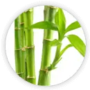 Extrait de Bambou