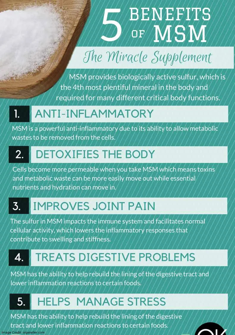 MSM Supplements Benefits Info