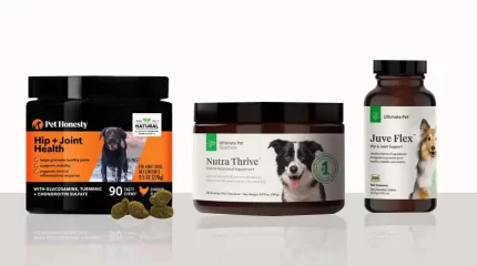 melhores suplementos de saúde articular para cães