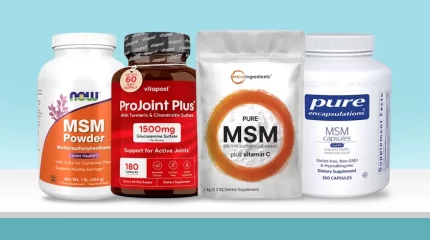 best-msm-supplements