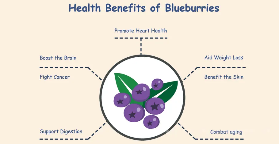 Blueberries Best