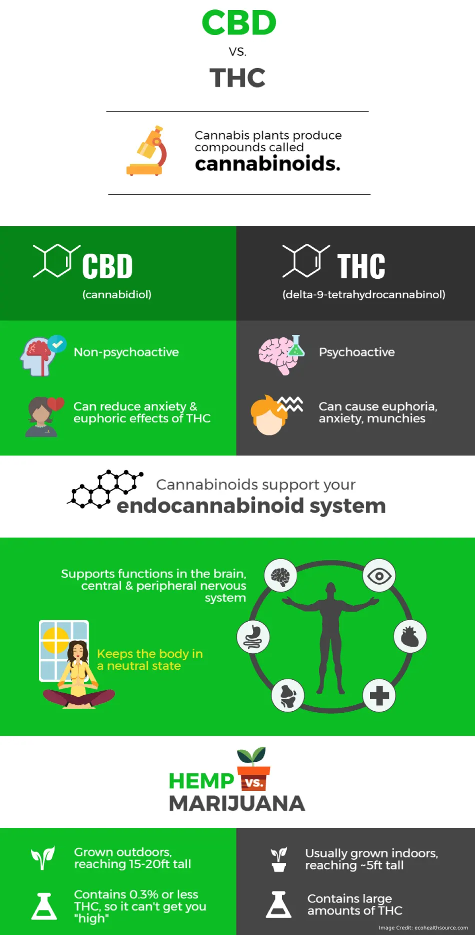 CBD VS THC Info