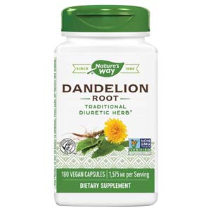 dandelion root water pill