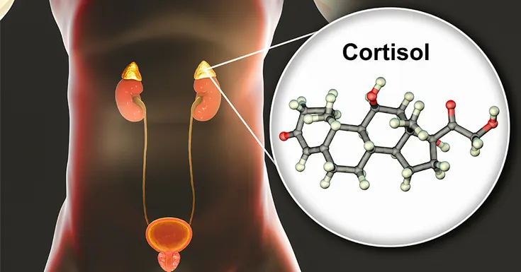do cortisol reducing supplements work