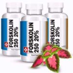 Forskolin 250 Reviews - How Long Does It Takes to Show Results?