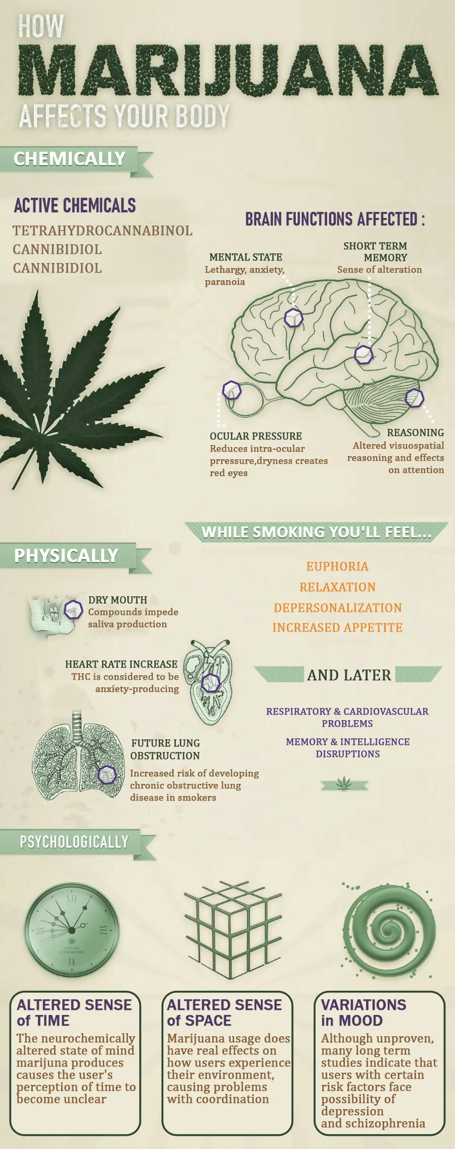 Marijuana Affect Body Info
