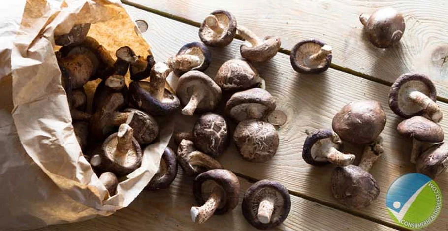 Are Mushroom Poisonous