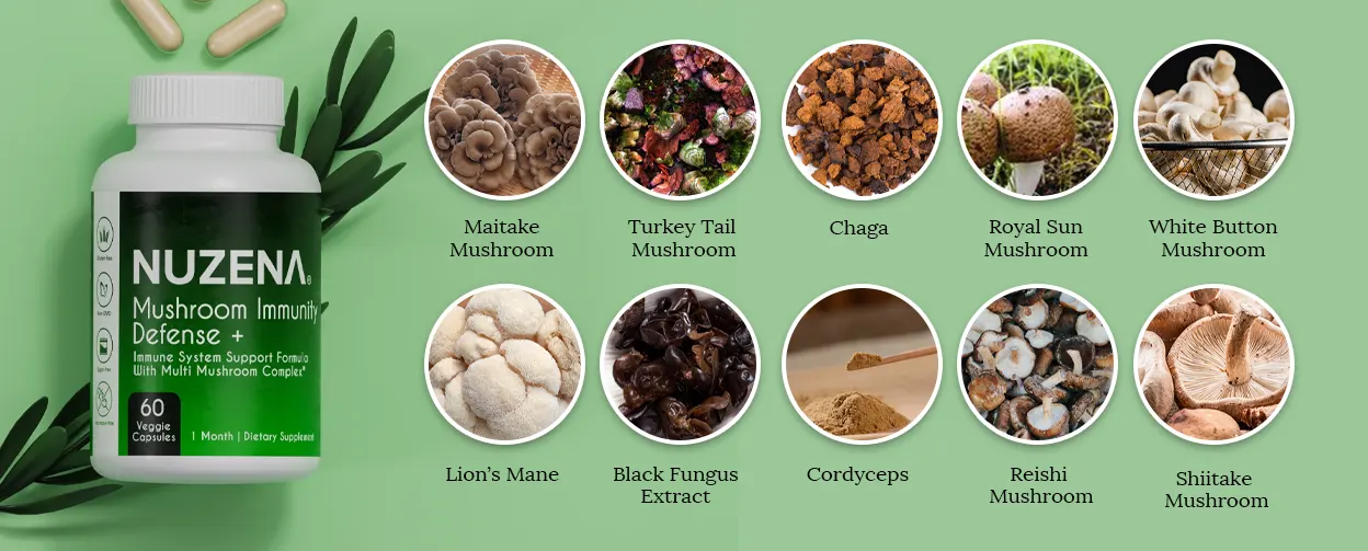 mushroom immunity defense+ ingredients