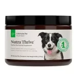 Nutra Thrive Reviews: Rich Supplemental Nutrition for Your Beloved Dog