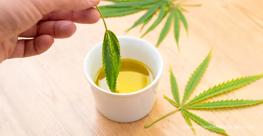 Prepare Cannabis Oil at Home to Reap Its Numerous Benefits