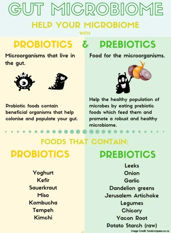 probiotics-for-men-info