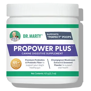 propower-plus-supplement