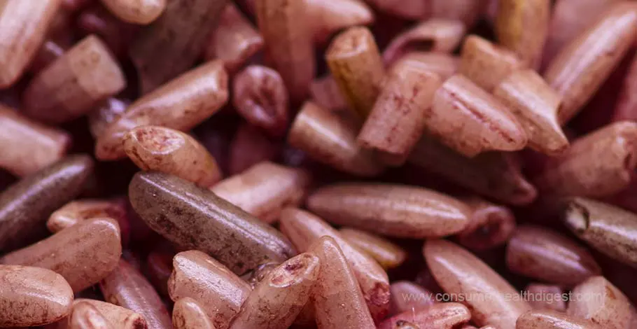 Red Yeast Rice - Is It Worth The Hype? Learn Its Benefits, Side Effects & More