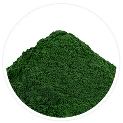 Spirulina-Alge