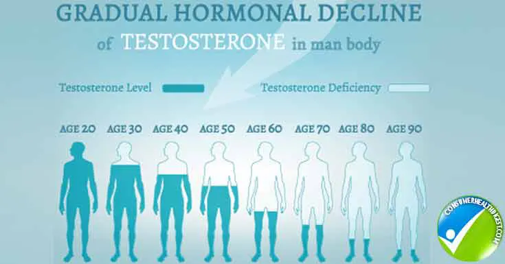 Testosteron-Hormonspiegel