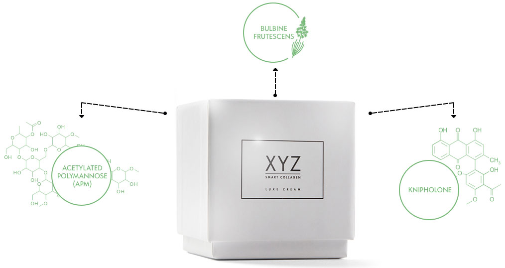 XYZ Smart Collagen Ingredients